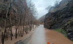 Munzur Nehri taştı, Tunceli-Ovacık yolunda ulaşım kapandı