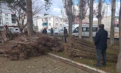 Muradiye'de yüzde 90 hibeli 50 bin adet meyve fidanı desteği