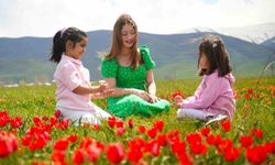 Muş lalesi ovayı kırmızıya bürüdü