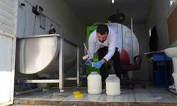 Muş’ta çiğ süt için soğuk zincir dönemi başladı