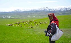 Muş’ta Genç besicilere büyük fırsat: “Kırsalda Bereket” başvuruları başladı