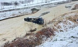 Muş'ta kontrolden çıkan minibüs dereye uçtu: 8 yaralı