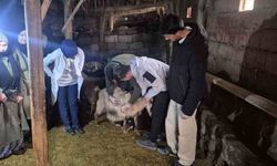 Özalp’te üreticiye eğitim desteği