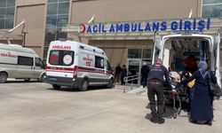 Refahiye’de kaza: Yaralanan 6 kişi Erzincan’da tedavi altına alındı