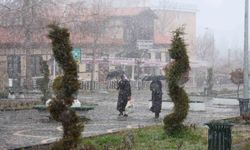 Tarihi Harput kar altında: Kartpostallık manzaralar oluştu