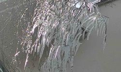 Termometreler -10’u gördü, doğa buz kesti