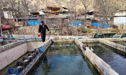 Tortum’da büyük kaybın izleri sürüyor: 300 bin balık telef oldu