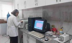 Türk profesörlerin yürüttüğü Sodyum-iyon batarya çalışmaları laboratuvar sürecini geçti