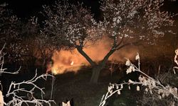 Üreticiler dona karşı seferber: Bahçelerde ateş yakılıyor