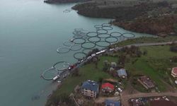 Uzunçayır’da doğaya büyük katkı: 1,5 milyon yavru alabalık bırakıldı