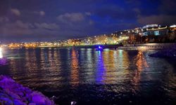 Van Gölü'ne düşen şahıs için ekipler seferber oldu