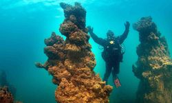 Van Gölü'nün mikrobiyalitleri Guinness için ön elemeyi geçti