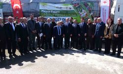 Van’da ağaçlandırma seferberliği: 5 yılda 4 buçuk milyon fidan hayat buldu