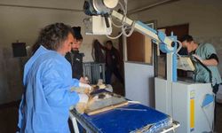 Van’da deprem sonrası enkazdan çıkarılan kuzular tedavi ediliyor