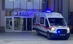 Van'da köpeklerin saldırdığı 5 yaşındaki çocuk yaşamını yitirdi