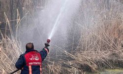 Van'da sazlık alanda yangın çıktı