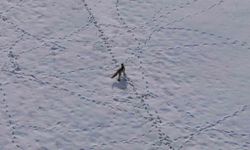 Van'da tilkinin avı dron kamerasıyla görüntülendi