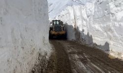 Yüksekova'da nisan ayında 6 metrelik kar tünelleri oluştu