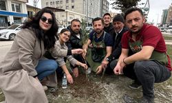 Yüksekovalı girişimci kadından doğaya anlamlı dokunuş