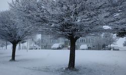 Ahlat beyaza büründü