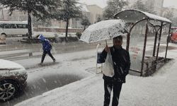 Ahlat’ta Nisan karı etkili oluyor