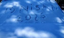 Ahlat’ta gece yağan kar sabah kırağıya dönüştü