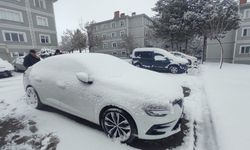 Ahlat’ta Nisan soğuğu: Kar yağışı etkili oldu