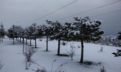 Ahlat’ta kar ve soğuk hava etkisini sürdürüyor