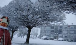 Ahlat’ta nisan sürprizi: Kar yağışı sürüyor