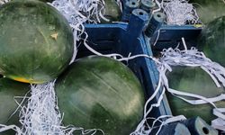 Ahlat’ta İran karpuzu tezgahlarda: Fiyatı cep yakıyor