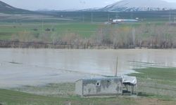 Ahlat’ta tarım arazileri sular altında