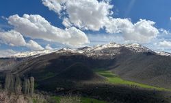 Bitlis’te yeşil ve kar manzarası görsel şölen sunuyor