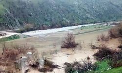 Bitlis’te dereler taştı, arazileri sular altında kaldı