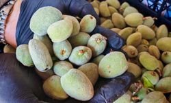 Ahlat’ta çağla tezgahlarda yerini aldı