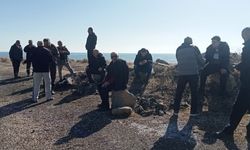 Van Gölü sahilinde doğa yürüyüşü