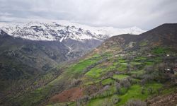 Hizan’da bahar uyanışı: Zirveler beyaz, ovalar yeşil