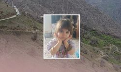 Hizan’da kaybolan 4 yaşındaki Rabia için arama seferberliği