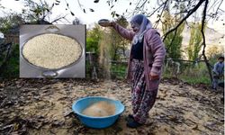 Asırlık lezzet Hizan pirinci tescil yolunda