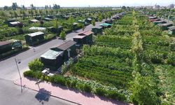 Hobi bahçeleri için son durum: Binlerce alan yıkılacak mı?