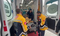 Bitlis Valiliği'nden minik Rabia açıklaması