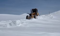 Adilcevaz’da nisan ortasında karla micadele sürüyor