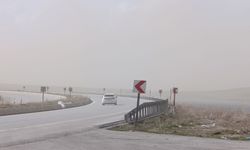 Ahlat’ta toz bulutu görüş mesafesini düşürdü