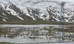 Tatvan’da tarlalar göle döndü