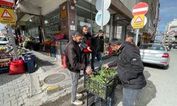 Tatvan’da çiriş otu tezgahlarda yerini aldı