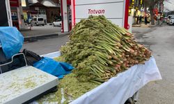 Tatvan’da “uçkun” tezgahlarda: Fiyatı 600 TL