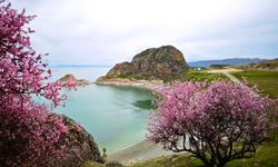 Kıztaşı sahili badem çiçekleriyle renklendi