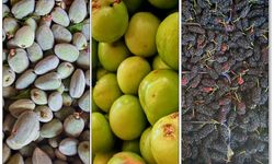 Ahlat’ta yaz meyveleri tezgahlarda yerini aldı