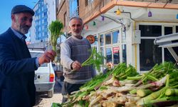 Bitlis’te helis otu tezgahlarda yerini aldı