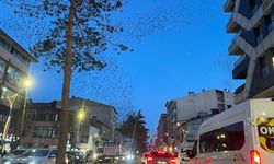 Gökyüzünde dans eden kanatlar Tatvan’da izleyenleri hayran bıraktı