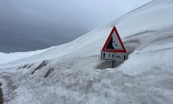 Hizan’da uyarı levhaları kar altında kaldı